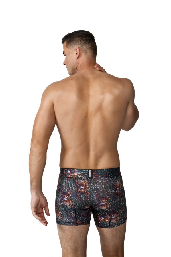 Boxer Araña - Código U449