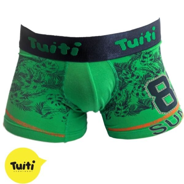 Hojas - Código BHJ411